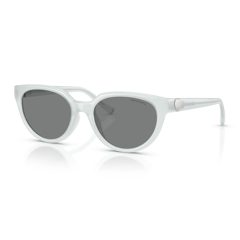 Tiffany Sunglasses, Model: 0TF4256D Colour: 845787