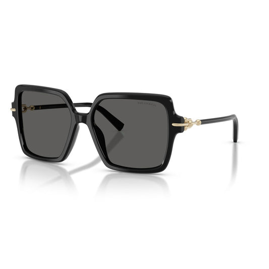 Tiffany Sunglasses, Model: 0TF4260U Colour: 8001S4