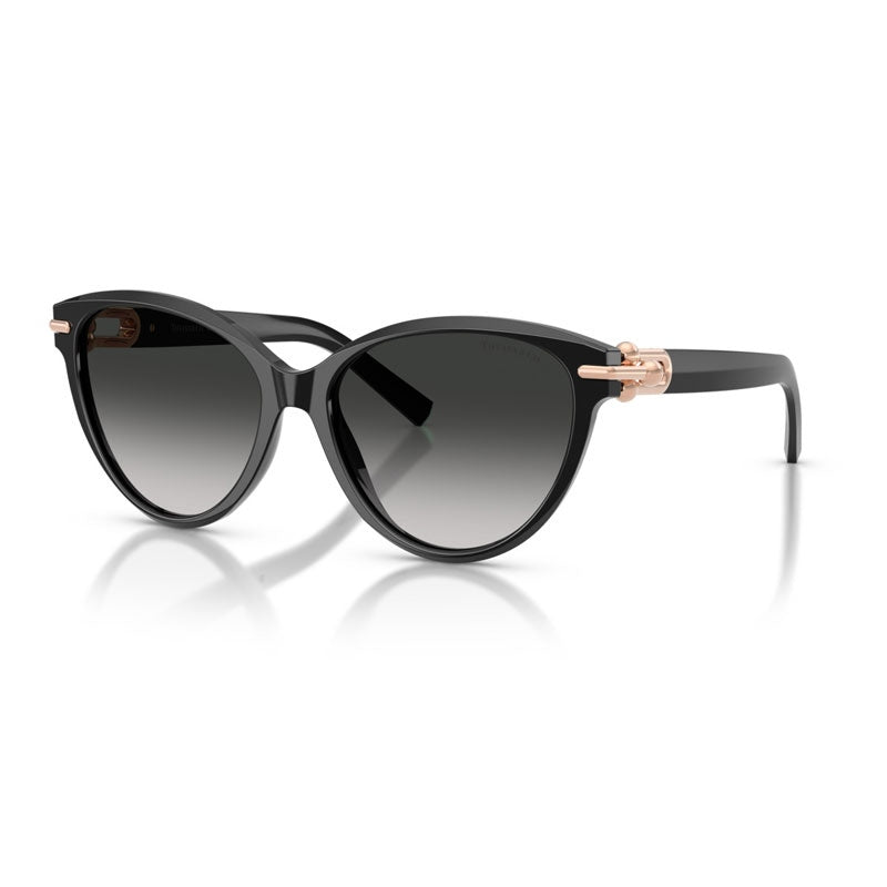 Tiffany Sunglasses, Model: 0TF4261 Colour: 80013C