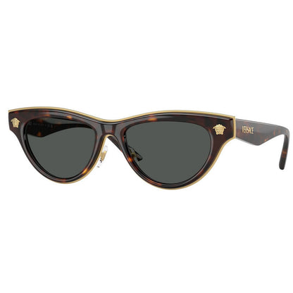Versace Sunglasses, Model: 0VE2273 Colour: 10887