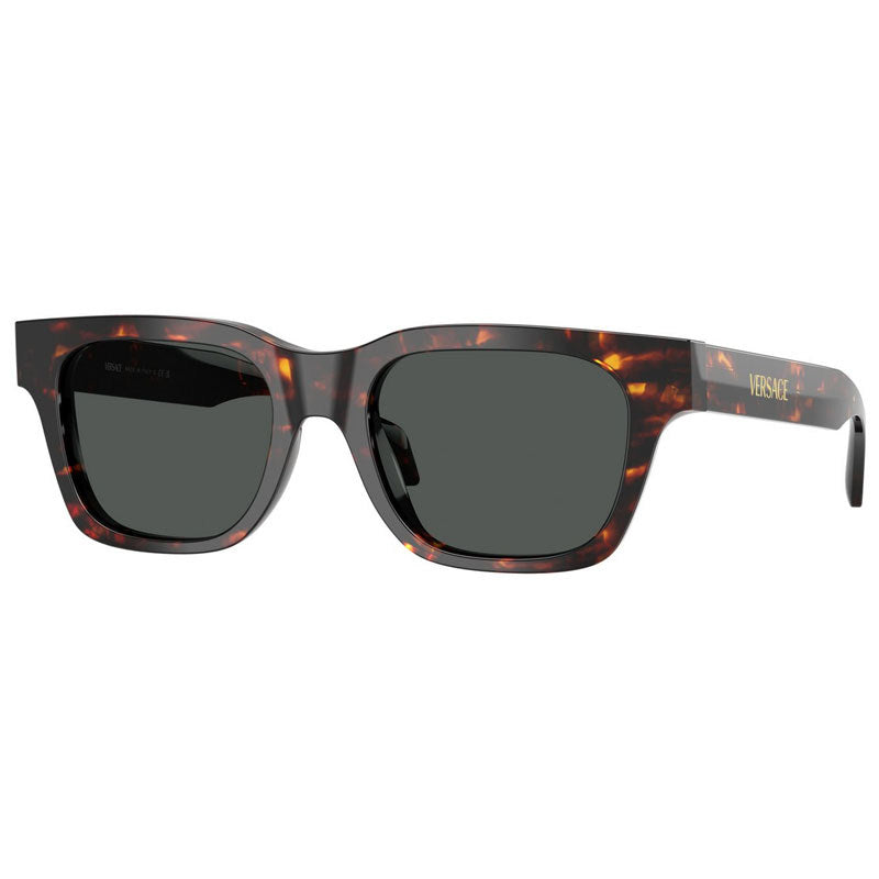 Versace Sunglasses, Model: 0VE4486 Colour: 550987