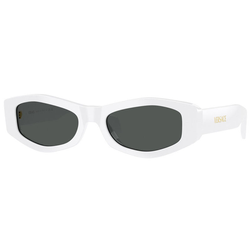 Versace Sunglasses, Model: 0VE4487 Colour: 31487