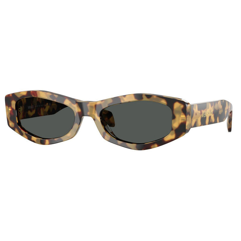 Versace Sunglasses, Model: 0VE4487 Colour: 77787