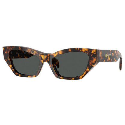 Versace Sunglasses, Model: 0VE4488U Colour: 551487