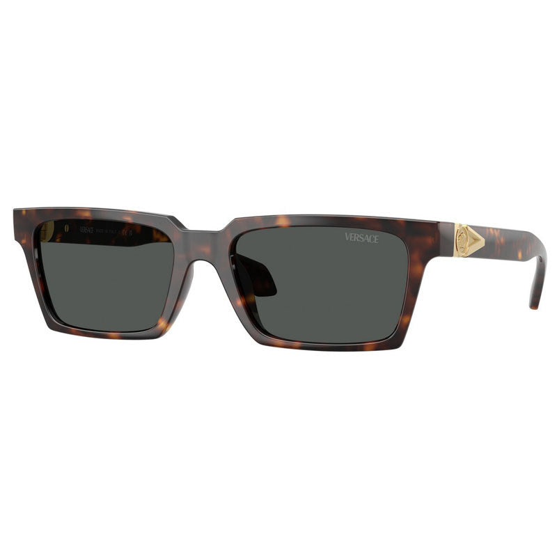 Versace Sunglasses, Model: 0VE4490U Colour: 10887