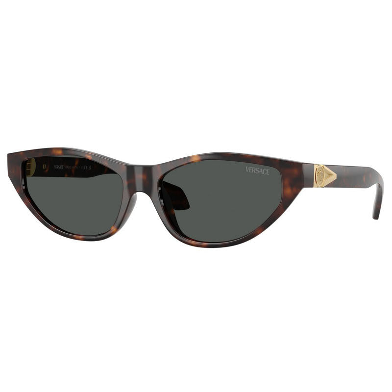 Versace Sunglasses, Model: 0VE4491U Colour: 10887