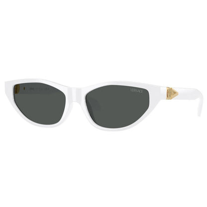 Versace Sunglasses, Model: 0VE4491U Colour: 31487