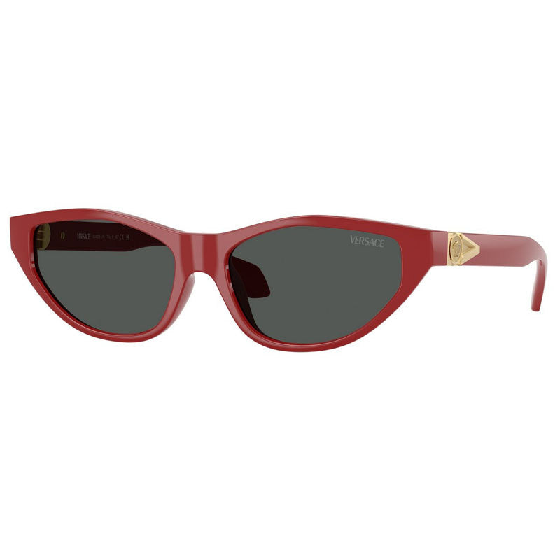 Versace Sunglasses, Model: 0VE4491U Colour: 538887