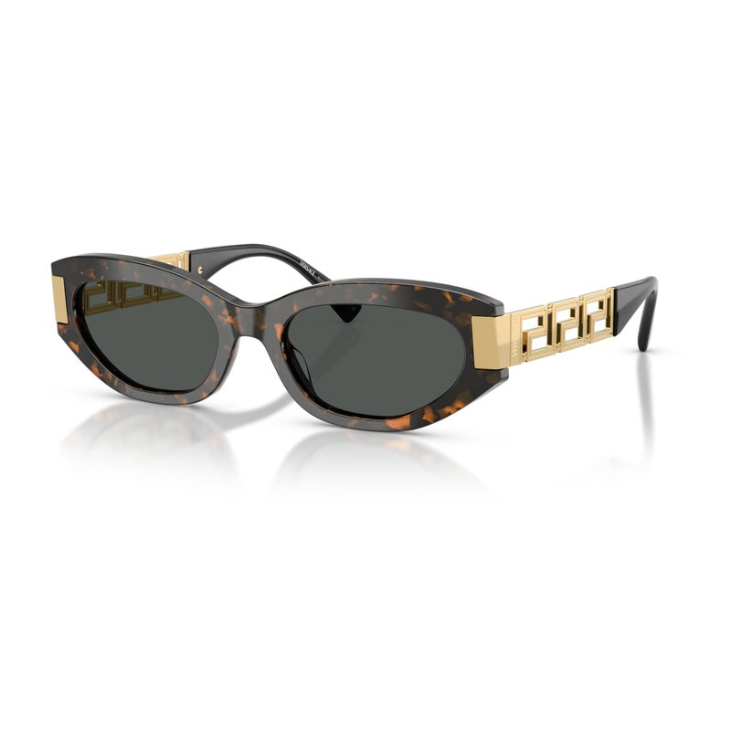Versace Sunglasses, Model: 0VE4501 Colour: 552887