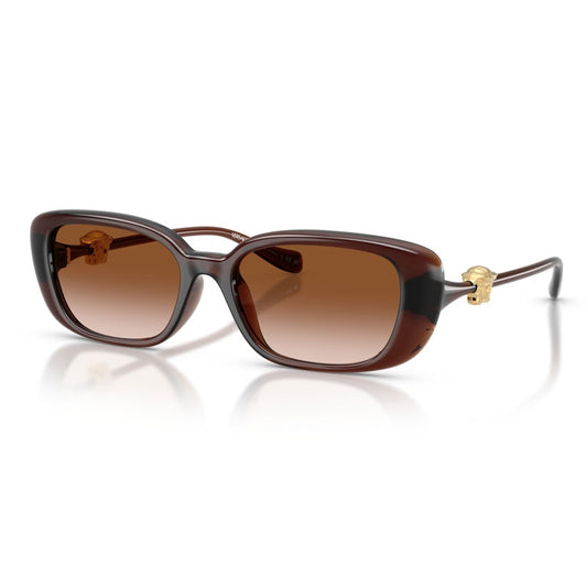 Versace Sunglasses, Model: 0VE4504D Colour: 533213