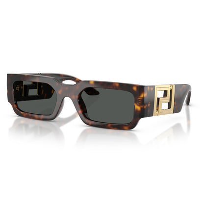 Versace Sunglasses, Model: 0VE4506U Colour: 10887
