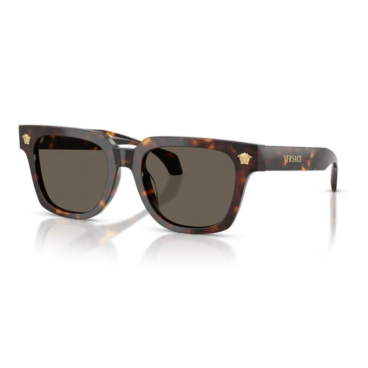 Versace Sunglasses, Model: 0VE4510U Colour: 1083
