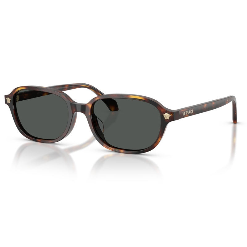 Versace Sunglasses, Model: 0VE4514D Colour: 553773
