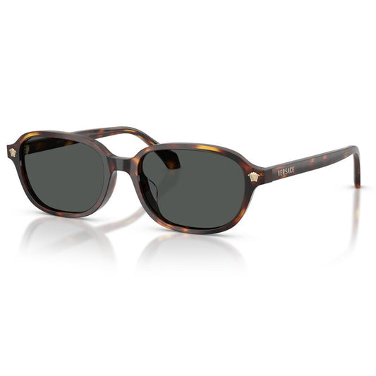 Versace Sunglasses, Model: 0VE4514D Colour: 553773