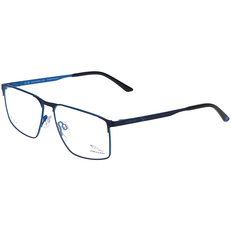 Jaguar Brillen, Modell: 3626 Farbe: 3100