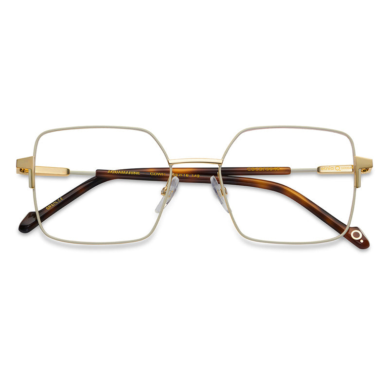 Etnia Barcelona Eyeglasses, Model: Aquamarine Colour: GDWH