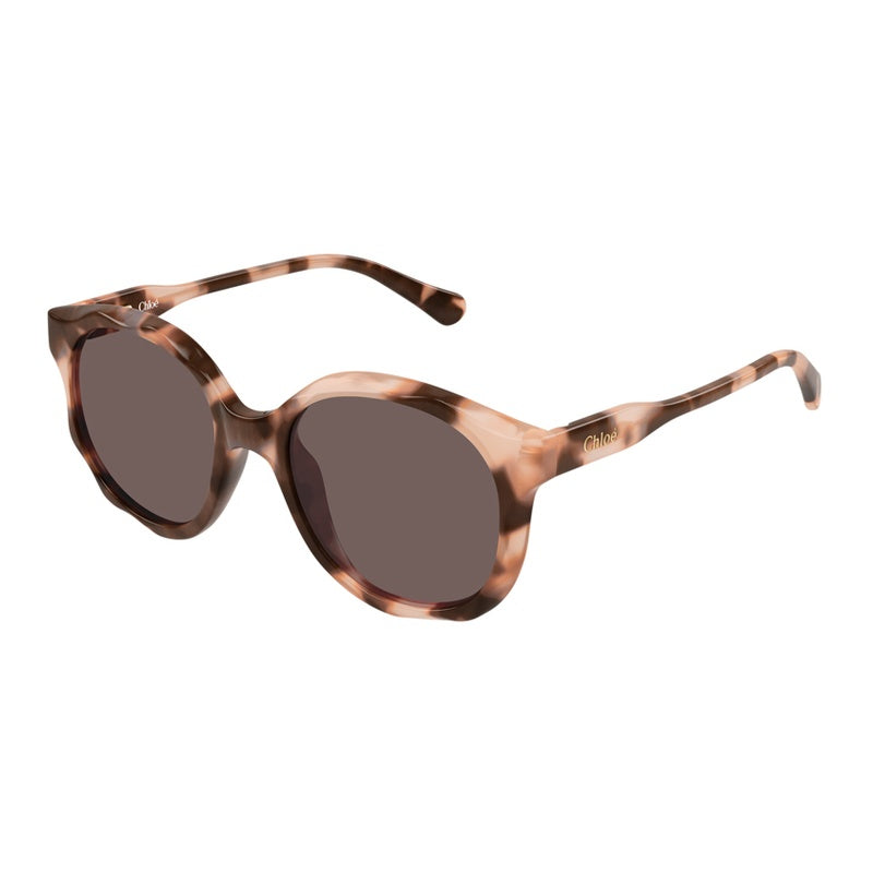 Chloe Sunglasses, Model: CC0019S Colour: 006