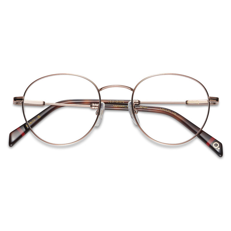 Etnia Barcelona Eyeglasses, Model: CentralPark Colour: PGHV