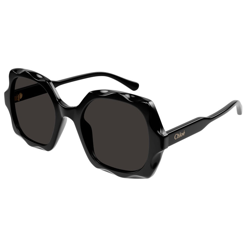 Chloe Sunglasses, Model: CH0226S Colour: 005