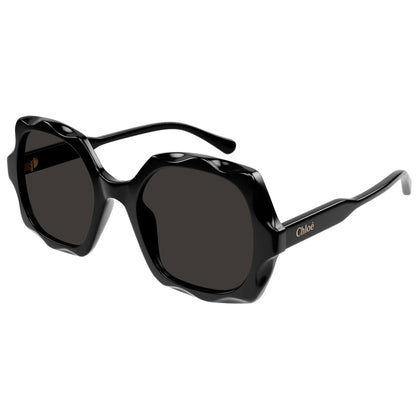 Chloe Sunglasses, Model: CH0226S Colour: 005