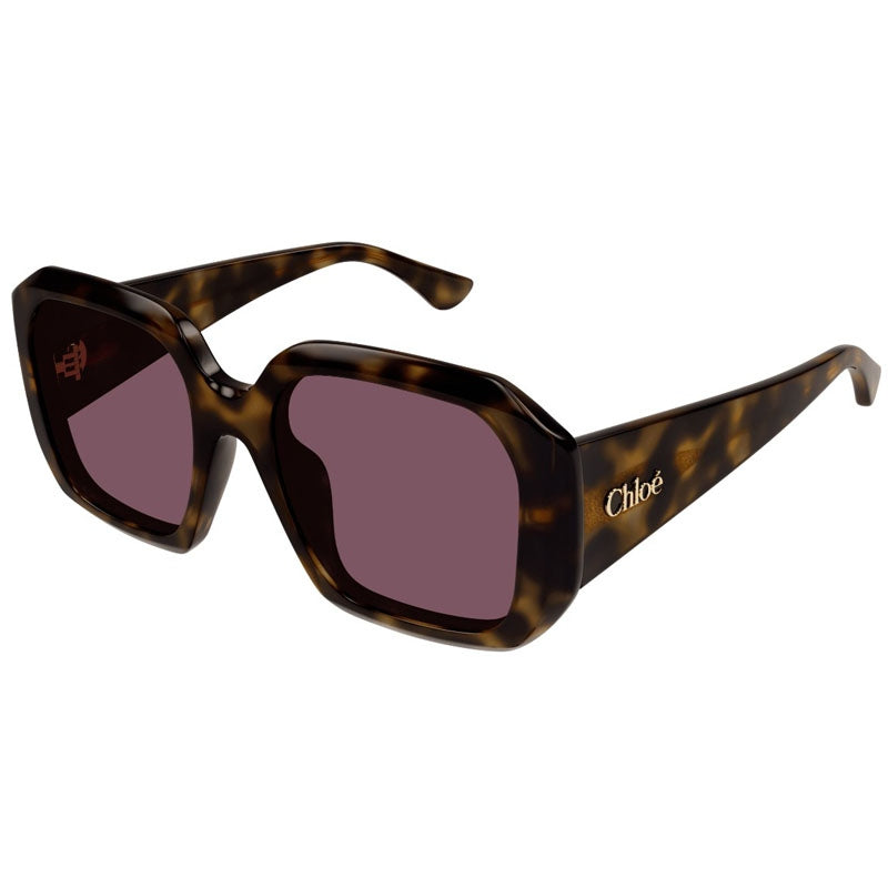 Chloe Sunglasses, Model: CH0300S Colour: 002