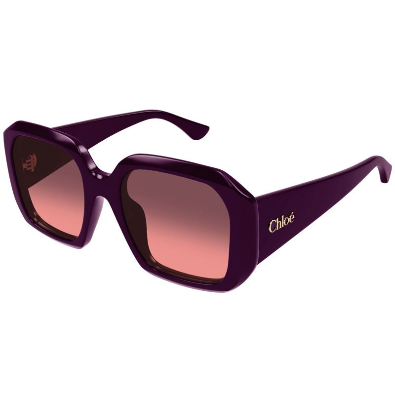 Chloe Sunglasses, Model: CH0300S Colour: 004