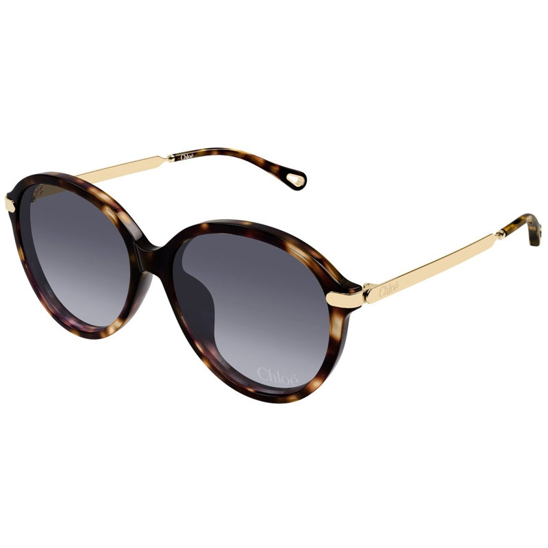 Chloe Sunglasses, Model: CH0358SK Colour: 002