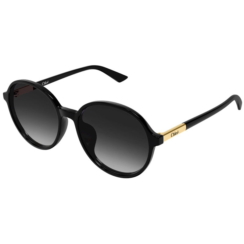 Chloe Sunglasses, Model: CH0365SK Colour: 001