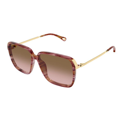 Chloe Sunglasses, Model: CH0405S Colour: 002
