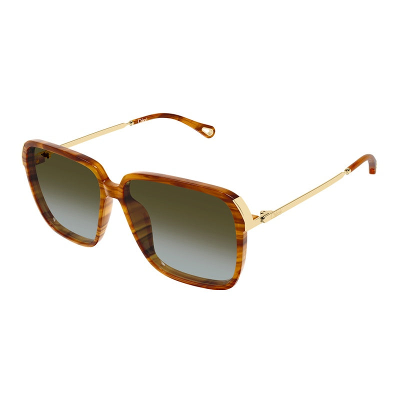 Chloe Sunglasses, Model: CH0405S Colour: 003