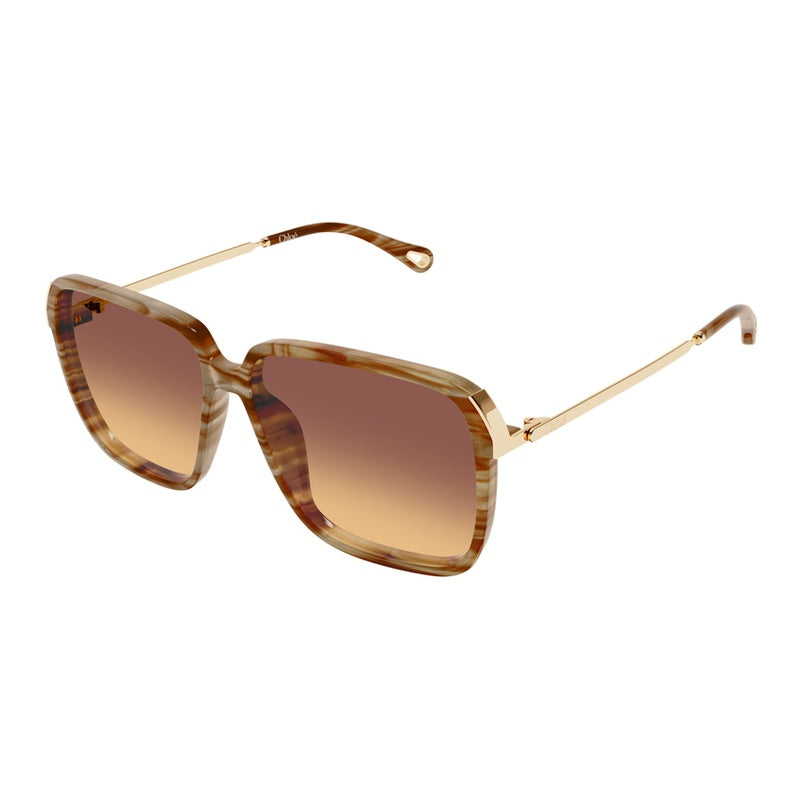 Chloe Sunglasses, Model: CH0405S Colour: 004