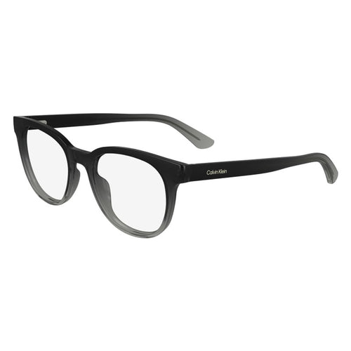 Calvin Klein Eyeglasses, Model: CK24522 Colour: 004