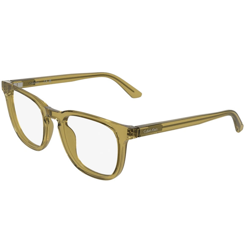 Calvin Klein Eyeglasses, Model: CK26519 Colour: 210