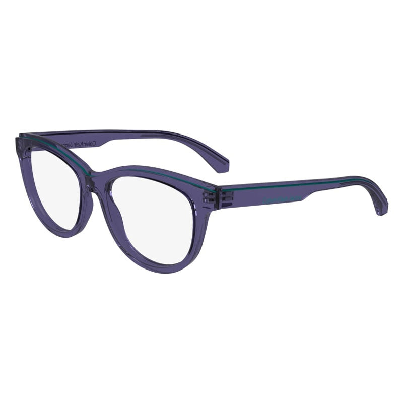 Calvin Klein Jeans Eyeglasses, Model: CKJ24611 Colour: 508