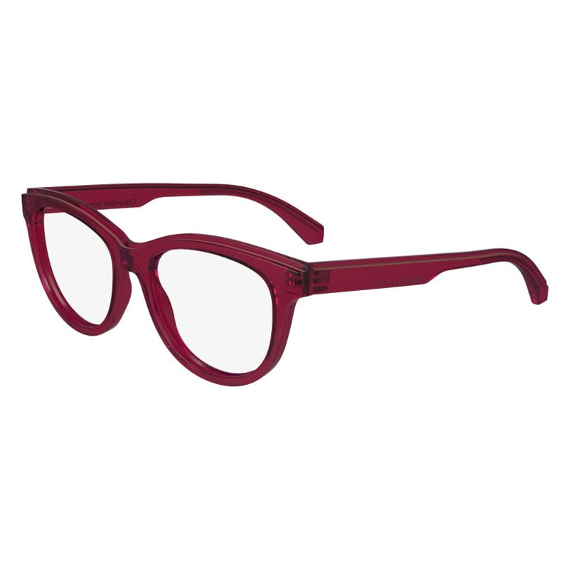 Calvin Klein Jeans Eyeglasses, Model: CKJ24611 Colour: 679