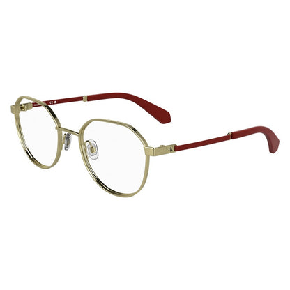Calvin Klein Jeans Eyeglasses, Model: CKJ25304 Colour: 717