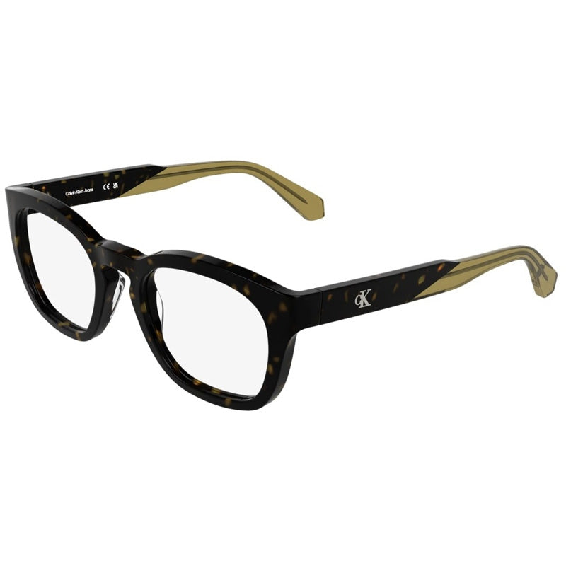 Calvin Klein Jeans Eyeglasses, Model: CKJ25626 Colour: 242