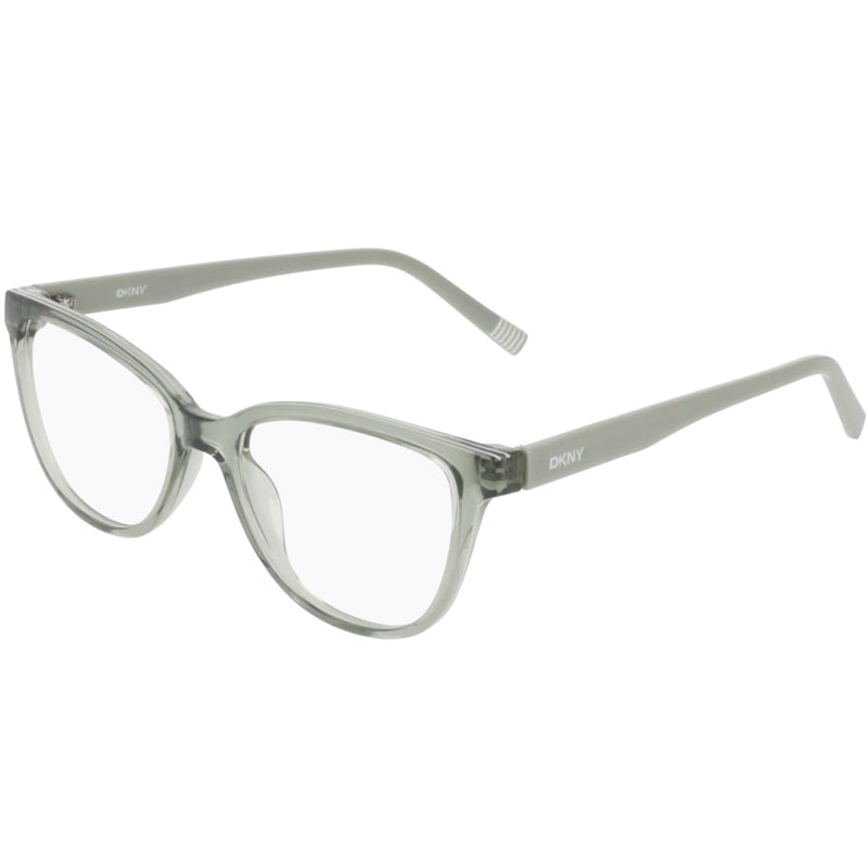 DKNY Eyeglasses, Model: DK5089 Colour: 310