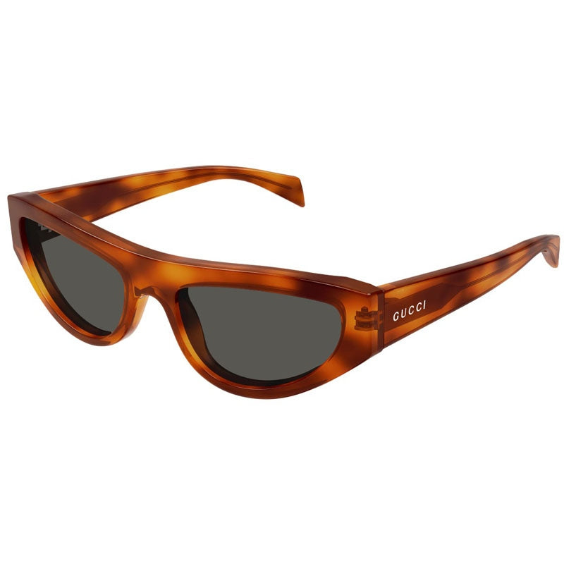 Gucci Sunglasses, Model: GG1919S Colour: 004