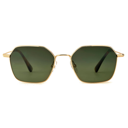 Etnia Barcelona Sunglasses, Model: Hudson Colour: GDHV