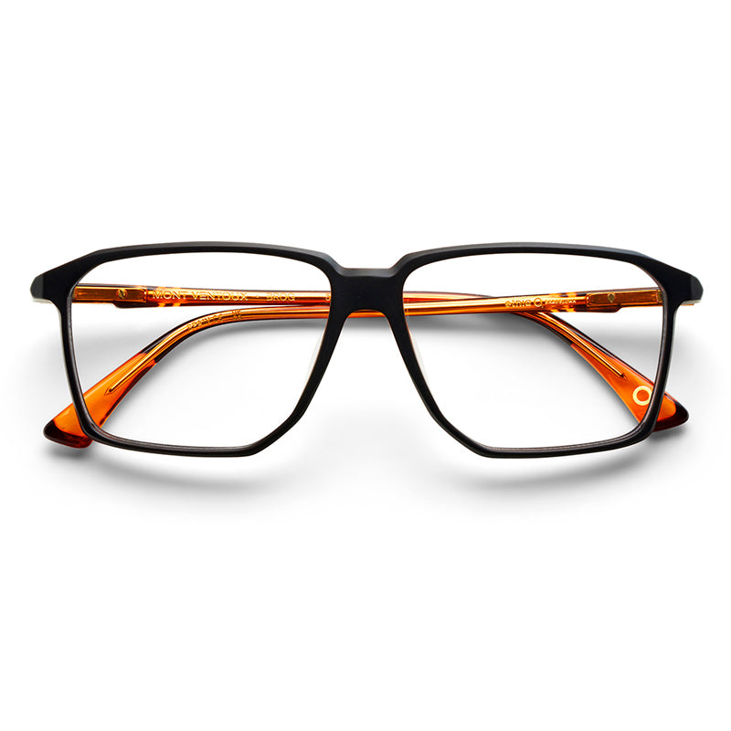 Gafas Etnia Barcelona, Modelo: MontVentoux Color: BROG