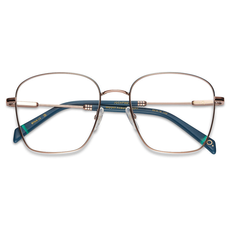 Etnia Barcelona Eyeglasses, Model: MountFaber Colour: BZPT