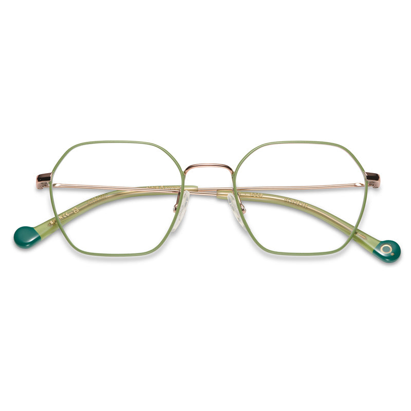 Etnia Barcelona Eyeglasses, Model: Otis Colour: PGGR