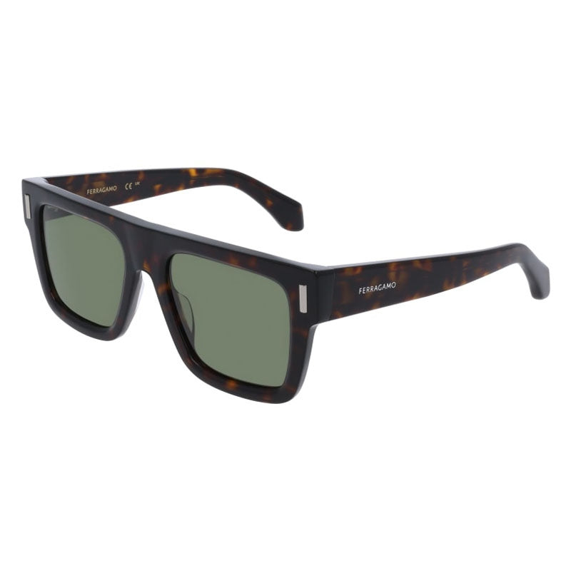 Salvatore Ferragamo Sunglasses, Model: SF2063SE Colour: 242