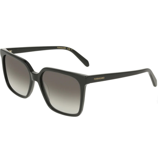 Salvatore Ferragamo Zonnebril, Model: SF2102S Kleur: 001