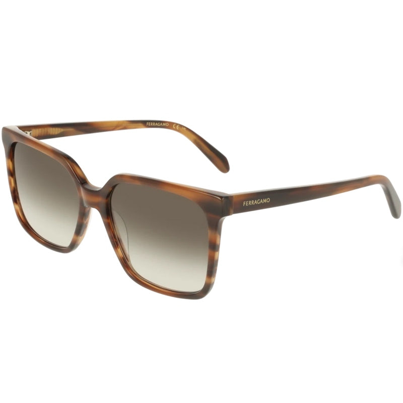 Salvatore Ferragamo Zonnebril, Model: SF2102S Kleur: 216