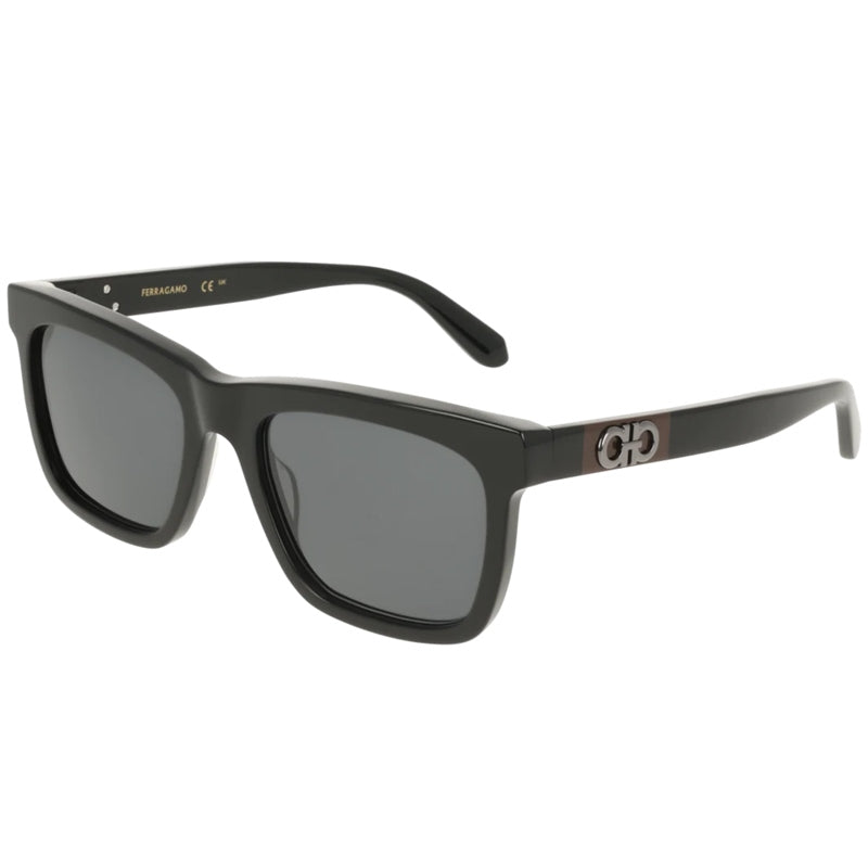 Salvatore Ferragamo Zonnebril, Model: SF2113S Kleur: 001