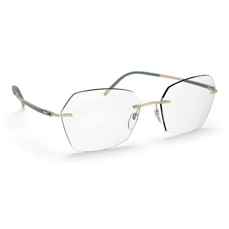 Silhouette Eyeglasses, Model: TitanDynamicsContour5540IN Colour: 8540