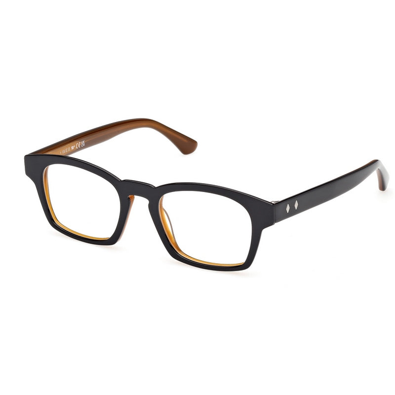 Web Eyeglasses, Model: WE5460 Colour: 005