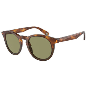 Giorgio Armani Sunglasses, Model: 0AR8192 Colour: 598814